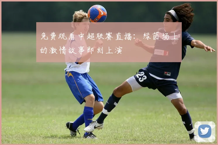 免费观看中超联赛直播：绿茵场上的激情故事即刻上演
