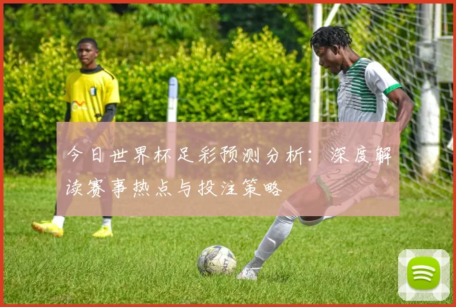 今日世界杯足彩预测分析：深度解读赛事热点与投注策略